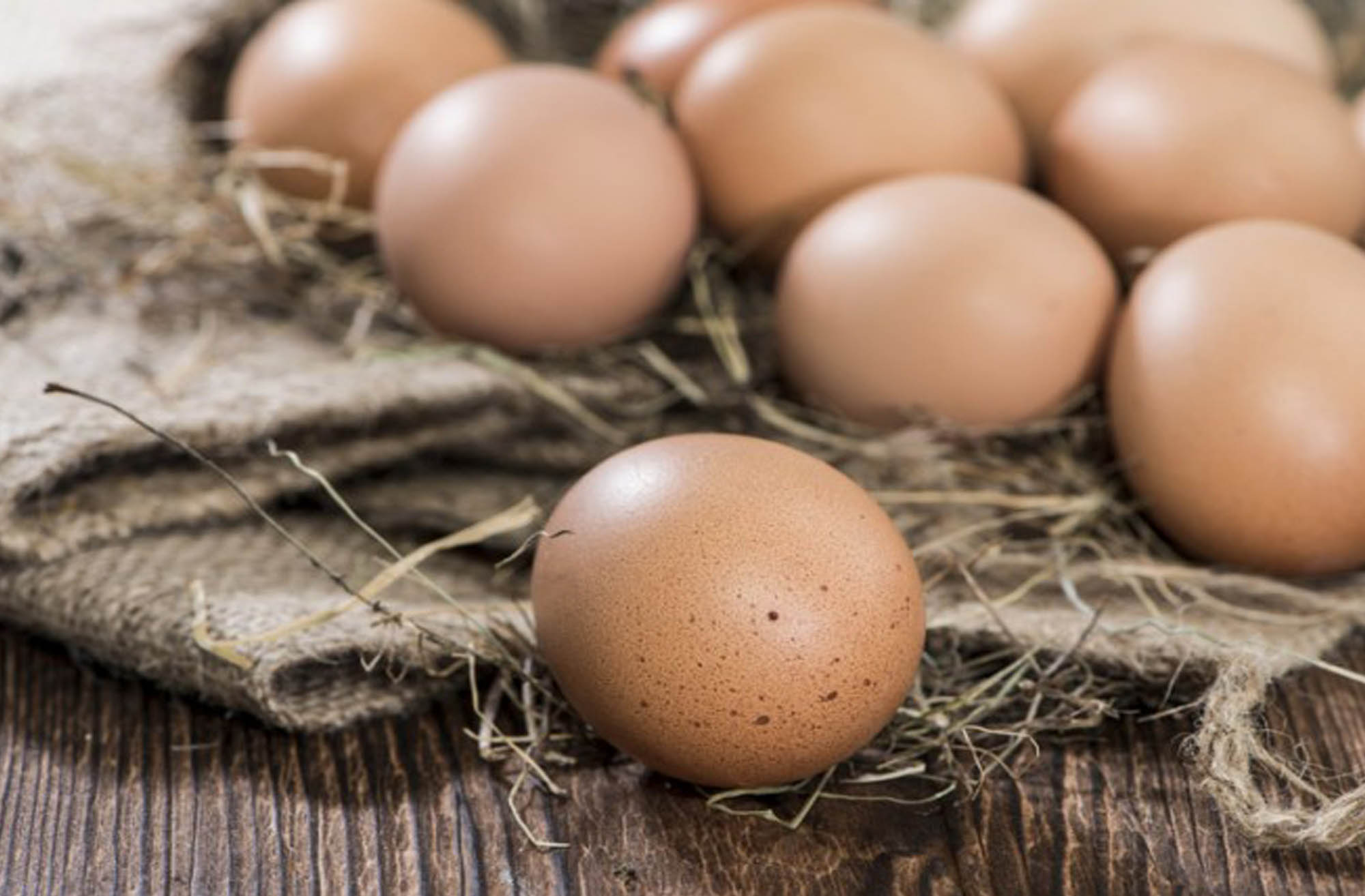 پرورش مرغ بومی تخمگذار