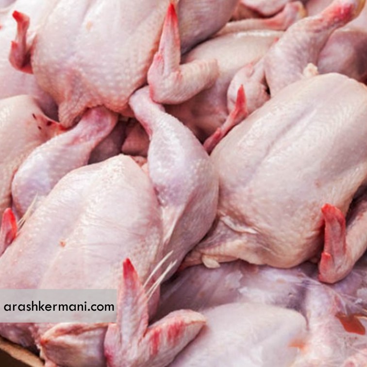 پیش بینی تولید 300 هزارتن گوشت مرغ در استان گلستان