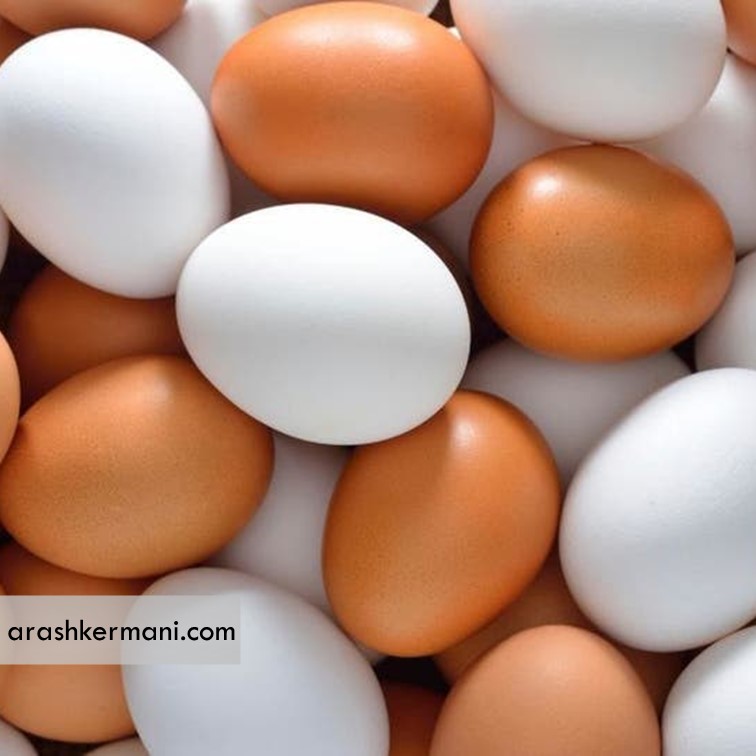 تولید روزانه 350 تن تخم مرغ در استان خراسان رضوی