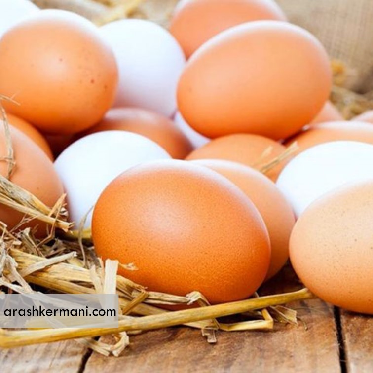 ظرفیت تولید روزانه 200 تن تخم‌مرغ در استان گلستان