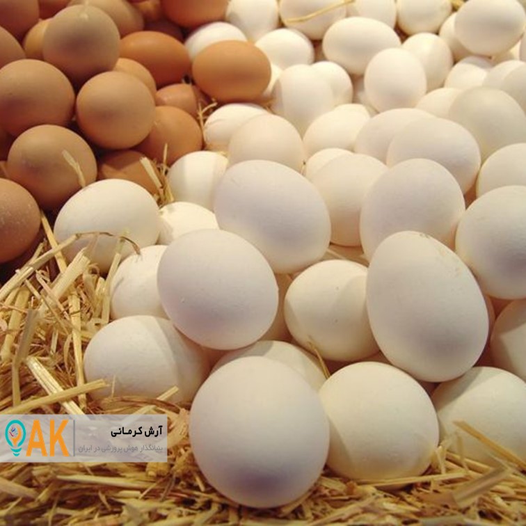 صادرات بیش از یک میلیون تخم‌مرغ از ایران در سال 98