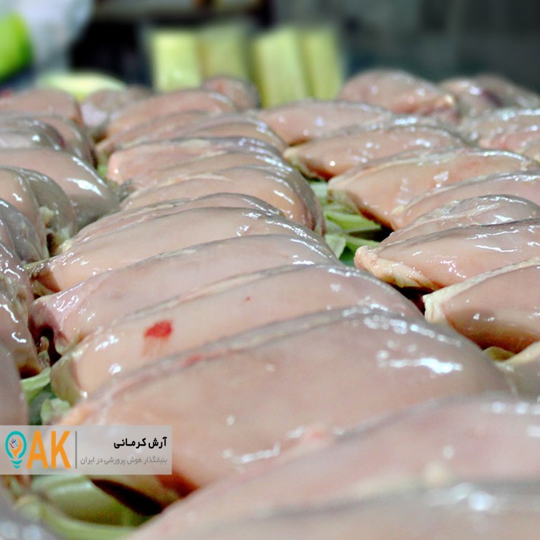 تولید 41 هزارتن گوشت سفید در استان قزوین