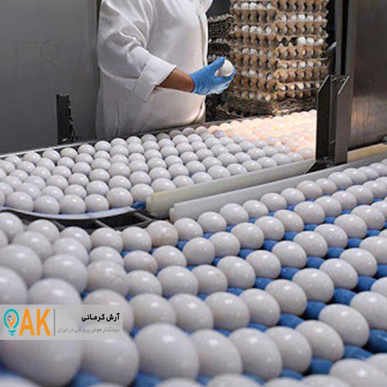 فعالیت 18 واحد تولید تخم‌مرغ در استان زنجان